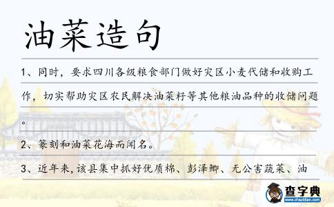 油菜造句