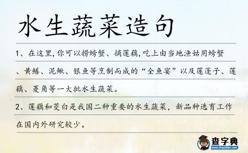 水生蔬菜造句
