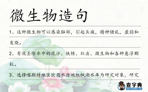 微生物造句