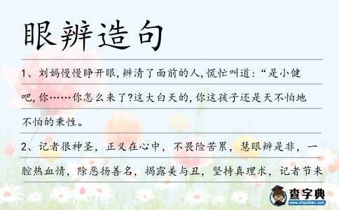 眼辨造句