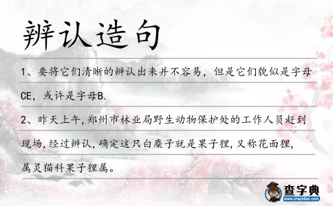 辨認造句