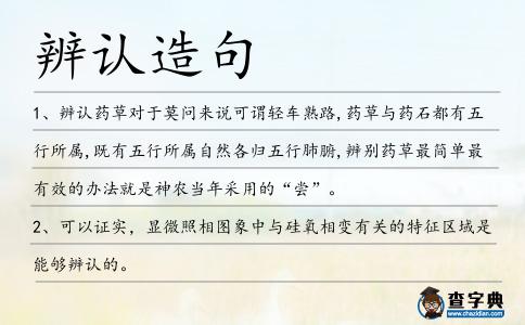 辨認造句