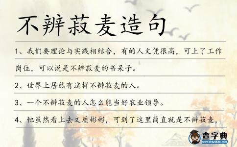 不辨菽麥造句