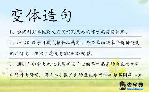 變體造句
