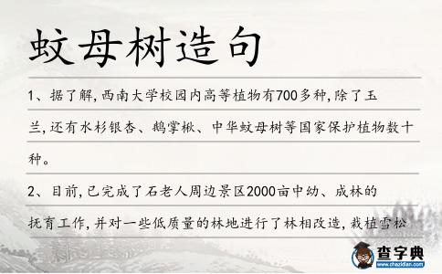 蚊母樹造句