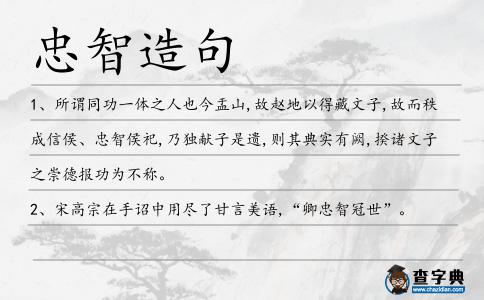 忠智造句
