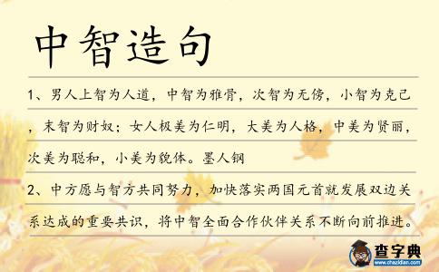 中智造句