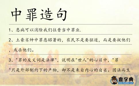 中罪造句