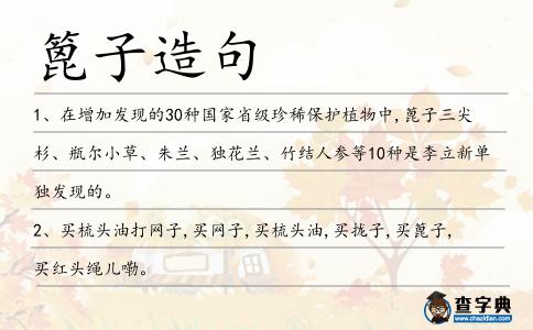 篦子造句