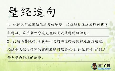 壁經造句
