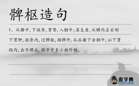 髀樞造句