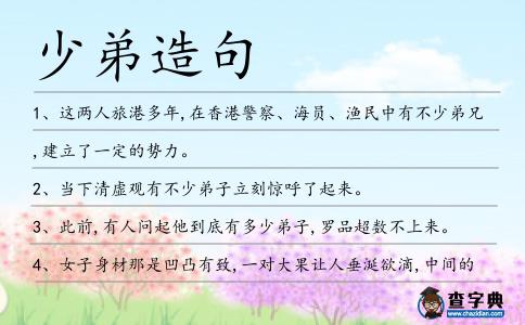 少弟造句