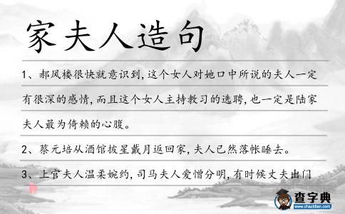 家夫人造句