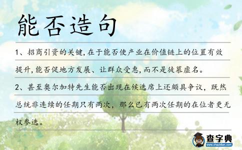 能否造句