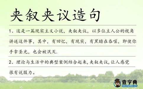 夾敘夾議造句