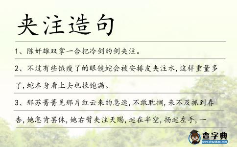夾注造句
