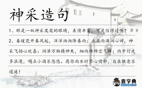 神采造句