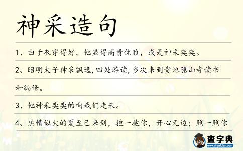 神采造句