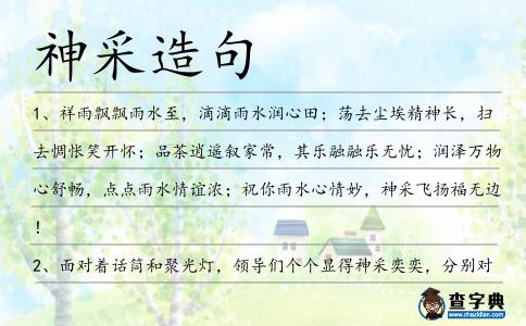 神采造句