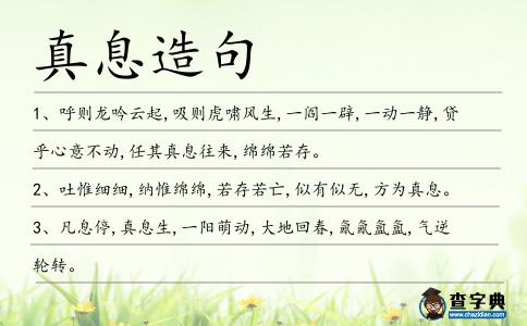 真息造句