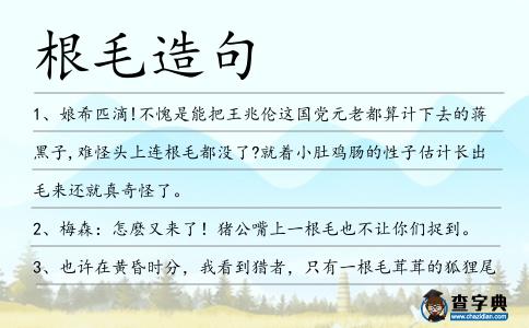 根毛造句