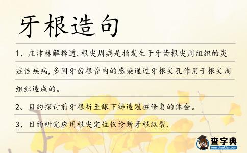 牙根造句