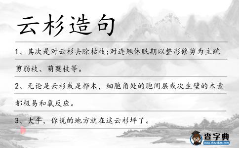 云杉造句