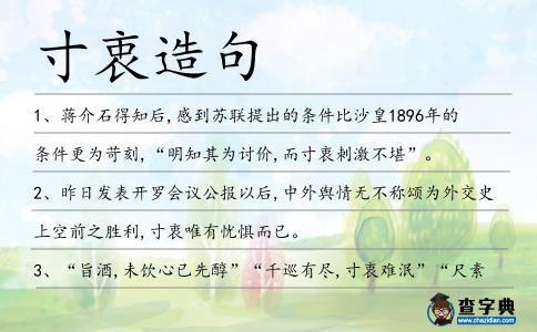 寸衷造句