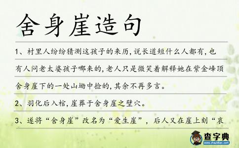 舍身崖造句