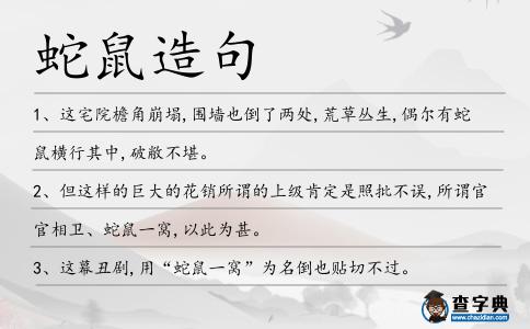 蛇鼠造句