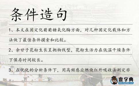 條件造句