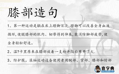 膝部造句