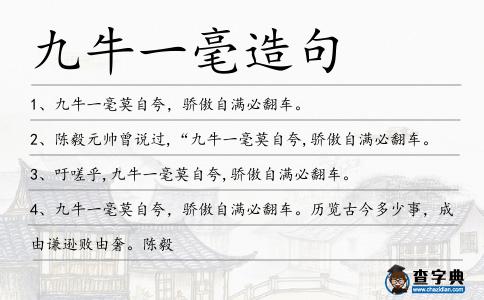 九牛一毫造句