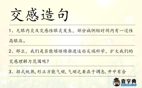 交感造句