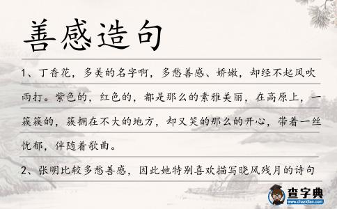 善感造句