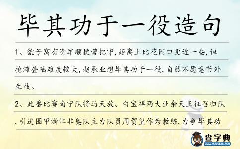 畢其功于一役造句