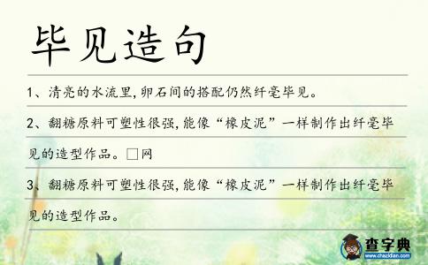畢見造句