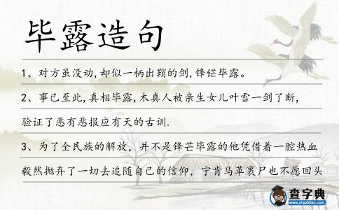 畢露造句