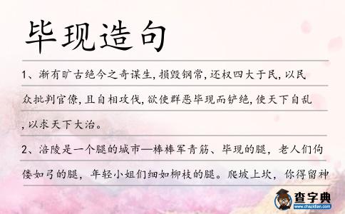 畢現造句