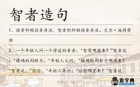 智者造句
