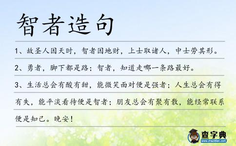 智者造句