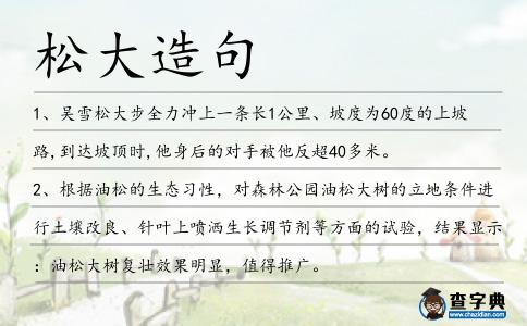 松大造句