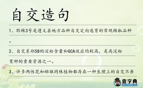 自交造句