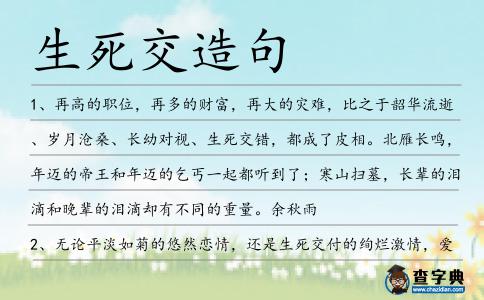 生死交造句