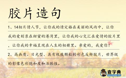 膠片造句