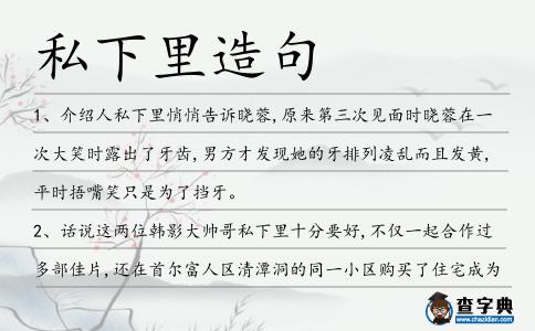 私下里造句