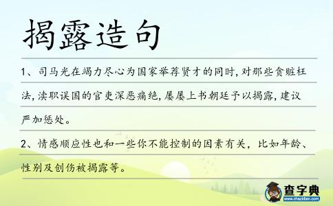 揭露造句