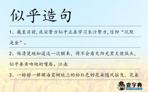 似乎造句