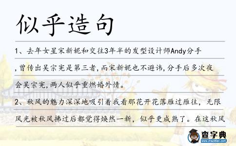 似乎造句
