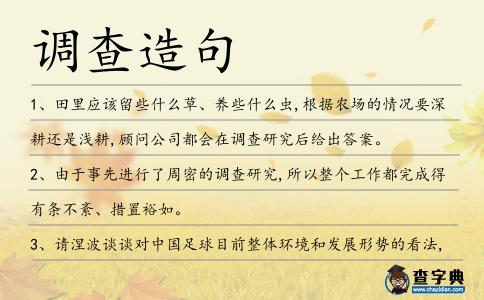 調(diào)查造句
